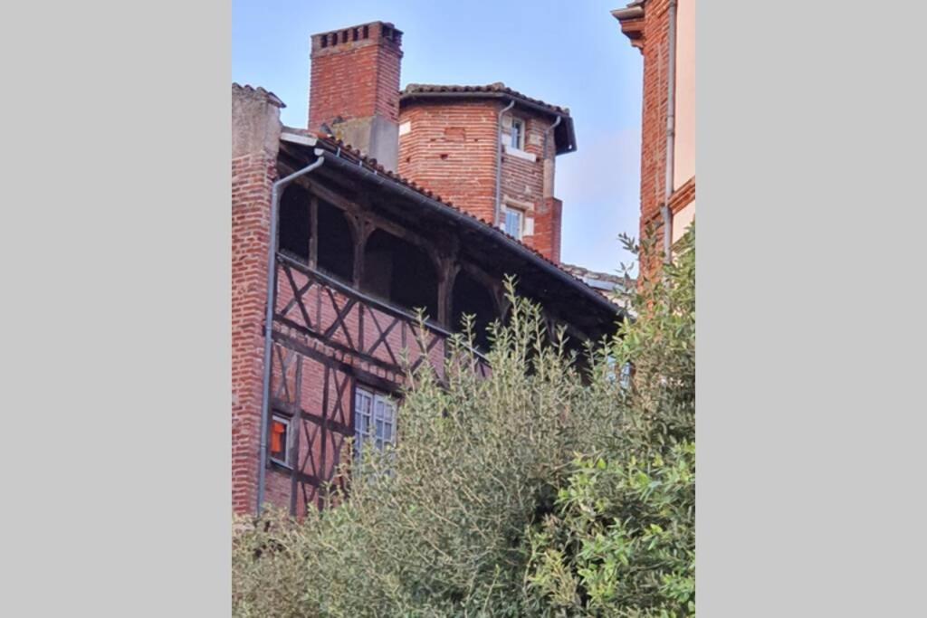Appartement Exceptionnel 4 Etoiles Hyper Centre Albi 65 M2 Au 4Eme Etage Sans Ascenseur Avec Une Tour Du 12Eme Siecle Dış mekan fotoğraf