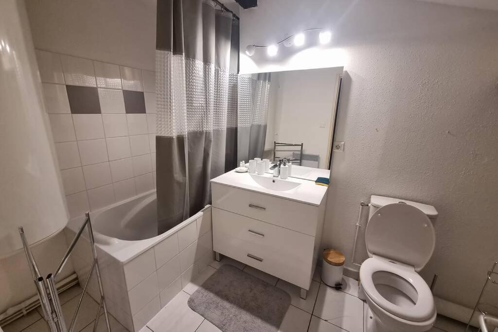 Appartement Exceptionnel 4 Etoiles Hyper Centre Albi 65 M2 Au 4Eme Etage Sans Ascenseur Avec Une Tour Du 12Eme Siecle Dış mekan fotoğraf